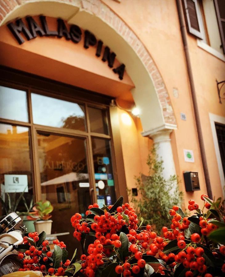 Boutique Hotel Corte Malaspina Кастельнуово-дель-Гарда Екстер'єр фото